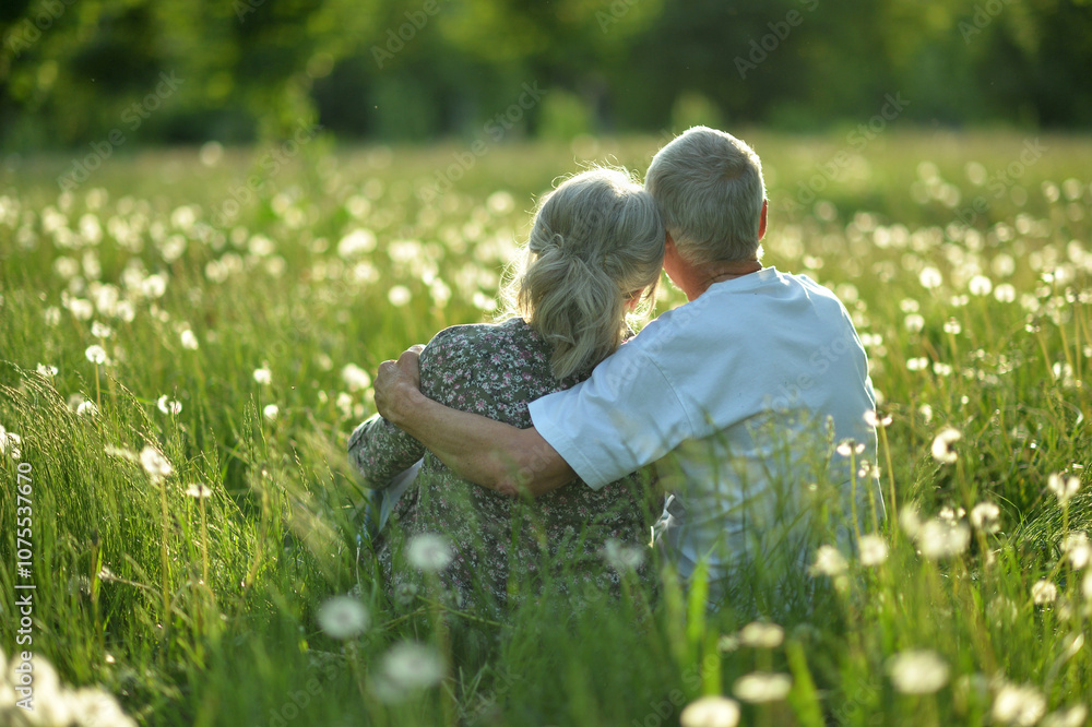 An elderly couple is sitting on the grass in a park rear view