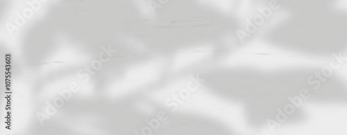 Glare from the sun's rays on the wall. Blurred shadows from leaves and plants in the room. Soft overlay of natural light. Abstract background for product presentation.Natural light layout.