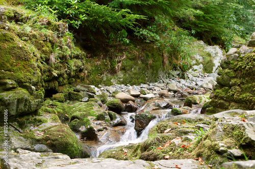 Fast river flow in a rocky bed in a natural park. Early Autumn landscape. photo