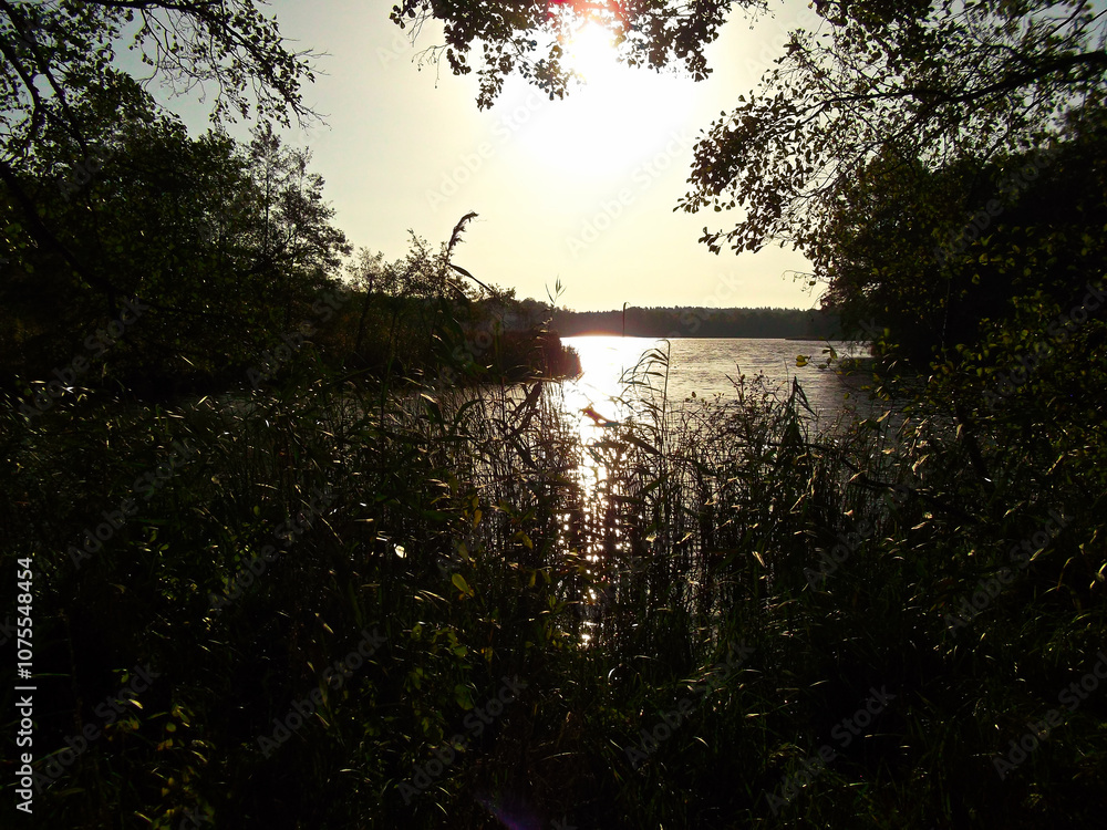 Sonnenaufgang über den Bruchsee im Herbst
