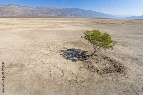 The Stark Reality of Drought-Stricken Fields. Beautiful simple AI generated image photo