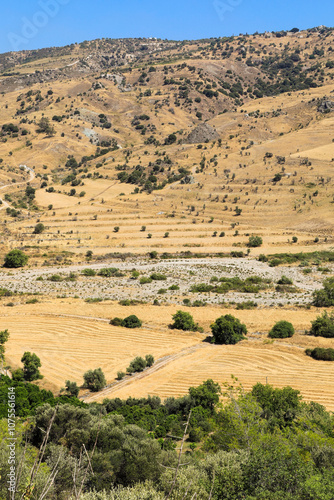 Hügelige Landschaft mit Obstplantagen und Olivenbäumen am ausgetrockneten Flussbett