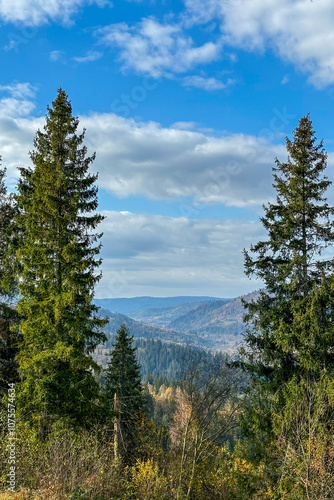 Late autumn in Carpathians mountains, Slavske, Ukraine 