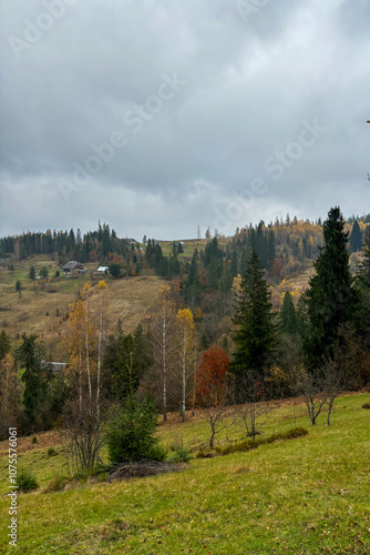 Late autumn in Carpathians mountains, Slavske, Ukraine
