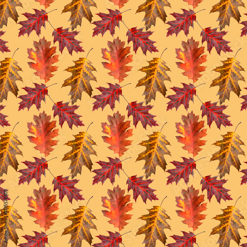Pattern of oak leaves on a light background.