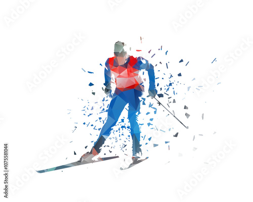Cross country skiing, isolated low poly vector illustration, distortion effect