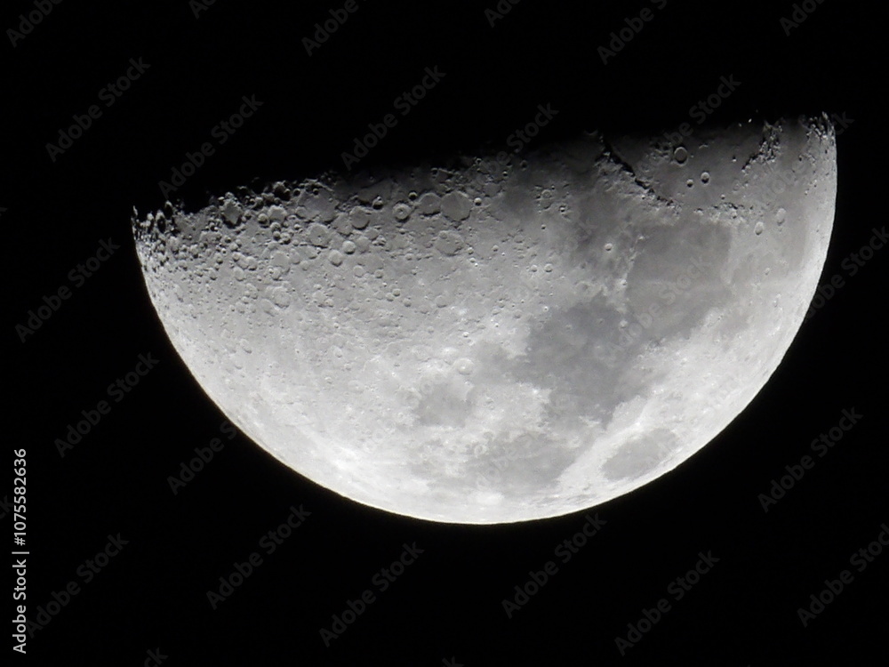 Naklejka premium moon in the night