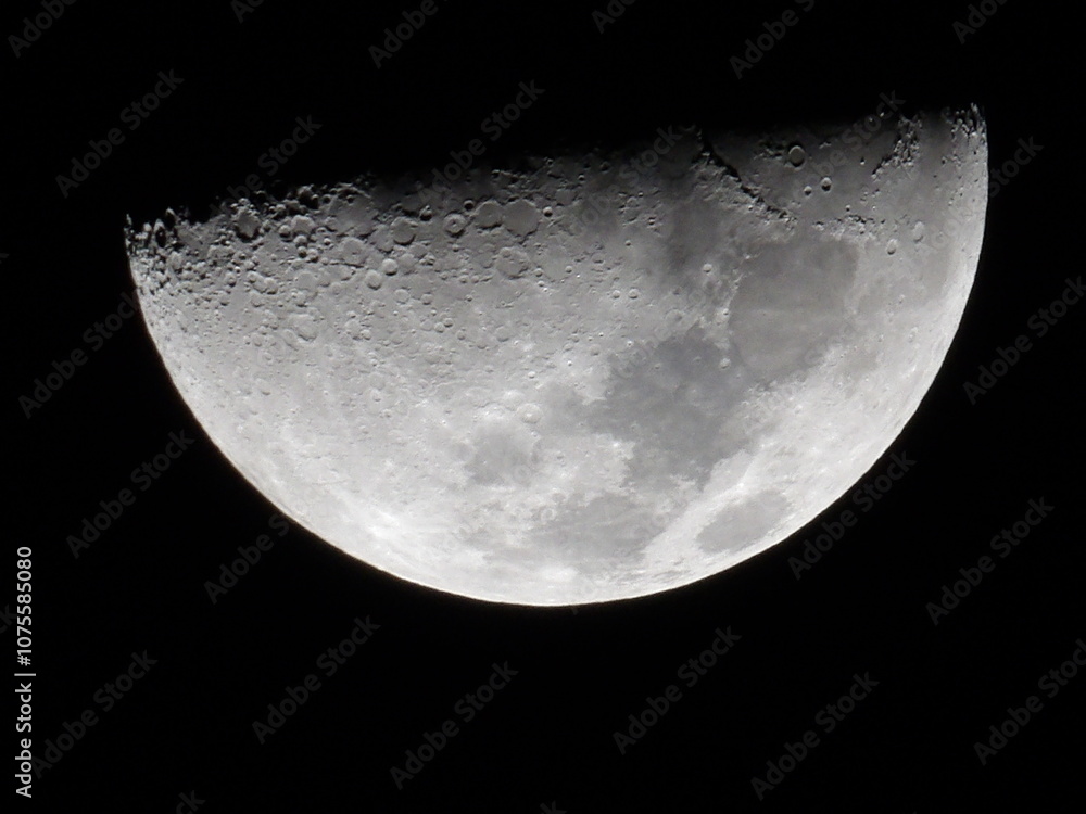 Naklejka premium moon in the night