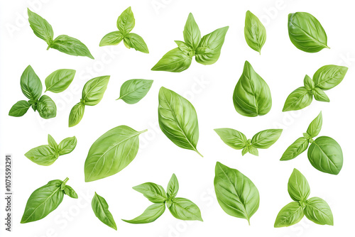 Fresh basil leaves arranged artistically on a white background capturing the vibrant colors and unique shapes of each leaf. Generative AI