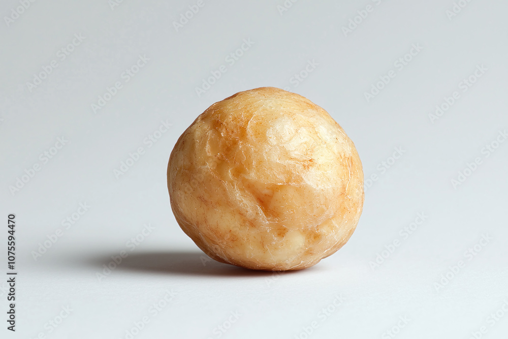 a single chickpea with a slightly wrinkled beige surface, against a white background. a single chickpea with a slightly wrinkled beige surface, against a white background.