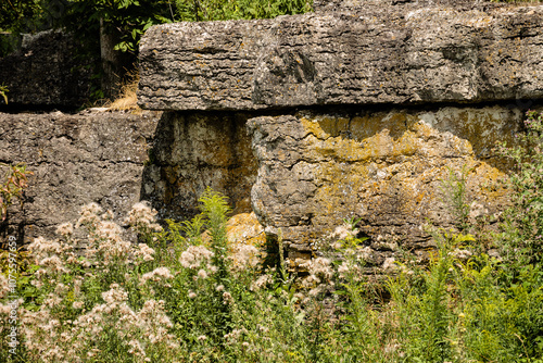 Niagara escarpment outcropping near Horicon National Wildlife Refuge, Waupun, Wisconsin, eastern ledge