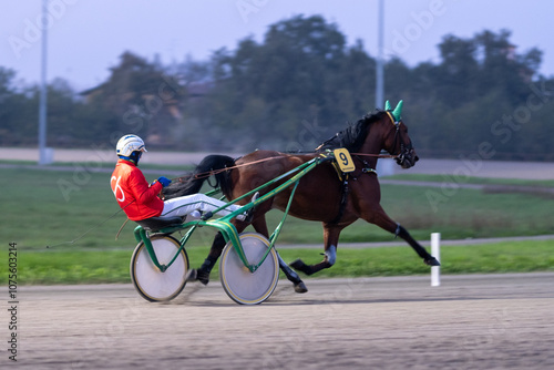 Canvastavla Racing horses trots and rider on a track of stadium
