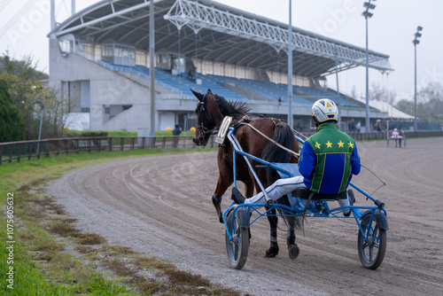 Racing horses trots and rider on a track of stadium. Competitions for trotting horse racing. Horses compete in harness racing. Horse runing at the track with rider. 