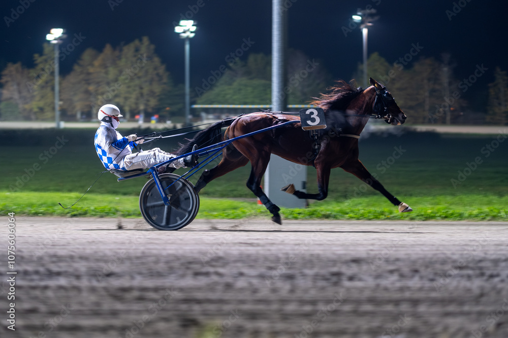 Racing horses trots and rider on a track of stadium. Competitions for trotting horse racing. Horses compete in harness racing. Horse runing at the track with rider.
Racing horses trots and rider on a track of stadium. Competitions for trotting horse racing. Horses compete in harness racing. Horse runing at the track with rider.