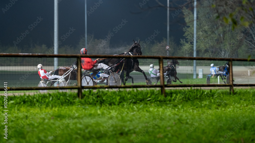 Fototapeta premium Racing horses trots and rider on a track of stadium. Competitions for trotting horse racing. Horses compete in harness racing. Horse runing at the track with rider. 