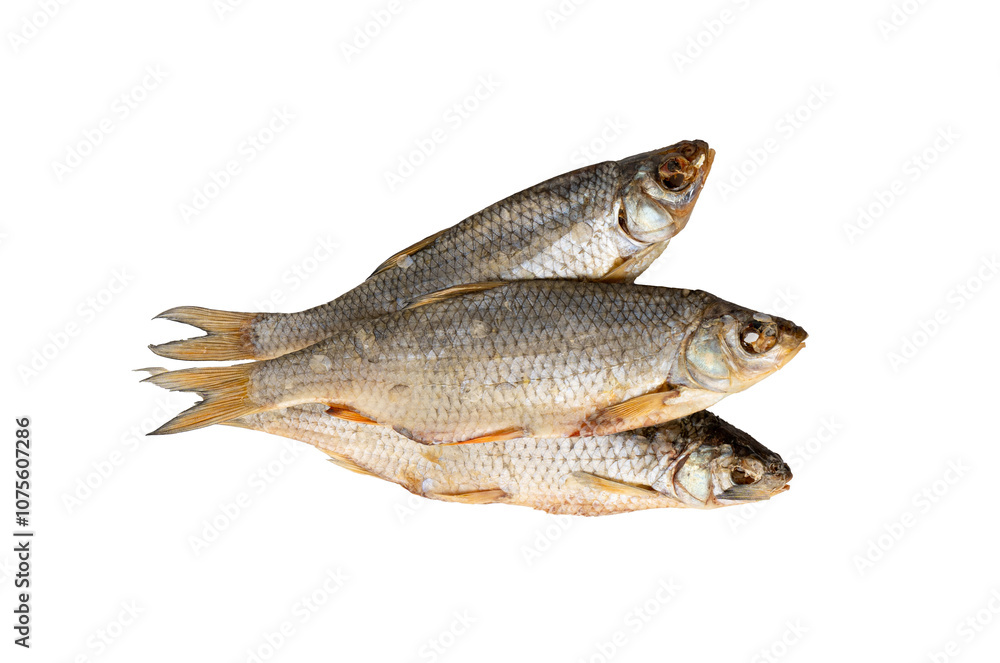 Dry roach, salted fish isolated, dried rutilus, taranka beer snack, whole salted and dried fish, prepared seafood Dry roach, salted fish isolated, dried rutilus, taranka beer snack, whole salted and dried fish, prepared seafood
