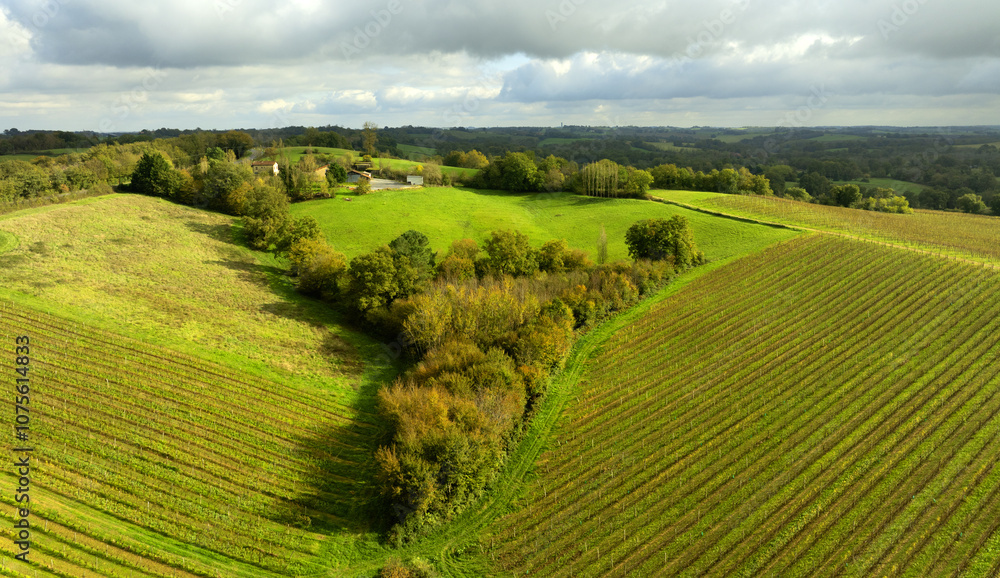Obraz premium Campagne verte