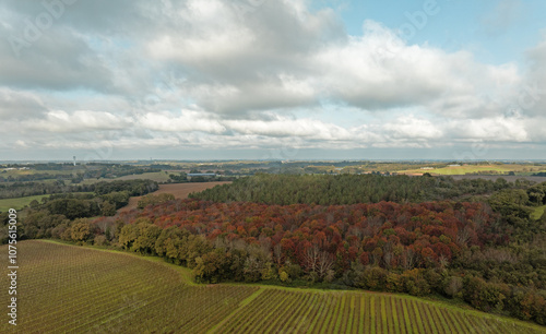 Paysage d'automne