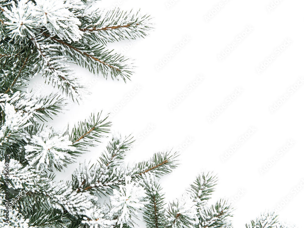 Snow-covered evergreen branches arranged along the edges, creating a winter-themed frame with a clean, white background in the center. Snow-covered evergreen branches arranged along the edges, creating a winter-themed frame with a clean, white background in the center.