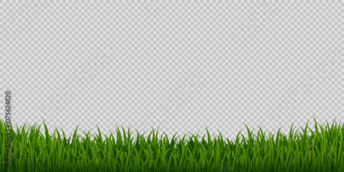 Realistic grass meadow, 3d vector frame or border template featuring vibrant grass blades or green field on transparent background for nature, landscaping or outdoor ecological themes presentation