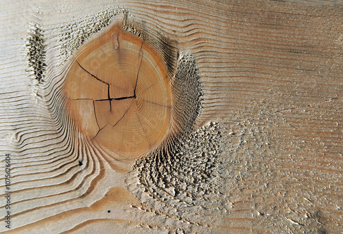 Quadro em tela sägeraues Holzbrett im Schräglicht - sawn wodden board in oblique light