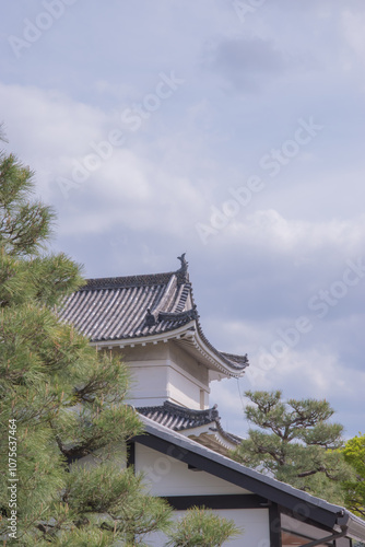 Nijo Castle - A Majestic Symbol of Japan’s Feudal Legacy. Taken in Japan, Kyoto, 04.2024.