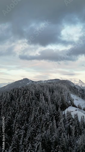 Stunning snowy mountain peaks and a vast pine tree forest covered in snow. Winter wonderland. British Columbia, Canada.