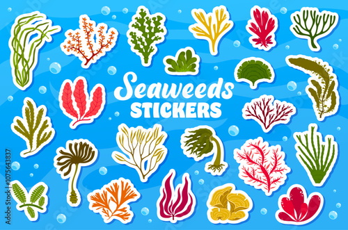 Underwater seaweeds stickers pack. Vector patches set of vibrant underwater plants. Ocean and sea vegetation. Playful, aquatic adhesive decals for scrapbooking or creative decorations for kids hobbies