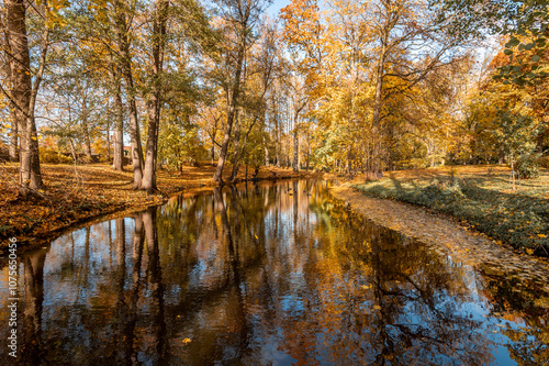 Old trees with autumn golden foliage reflected in a pond on sunny october day