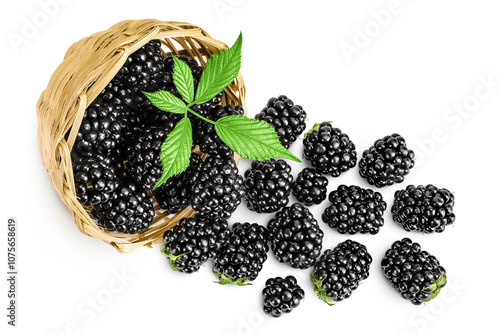 Bild auf Leinwand blackberry with leaf in in a wicker basket isolated on a white background