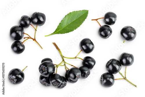 Chokeberry with leaf isolated on white background. Black aronia. Top view. Flat lay