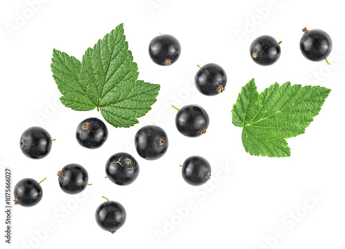 Black currant berries with green leaves isolated on a white background, top view.