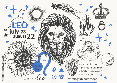 Hand drawn leo zodiac sign illustration, horoscope background with astrology symbols and talismans