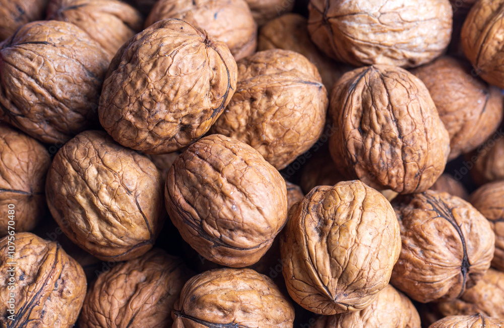 Walnuts with and without shells (filling the picture). Background of fresh walnuts. Walnuts with and without shells (filling the picture). Background of fresh walnuts.