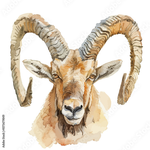 A watercolor vector of Himalayan Ibex, isolated on a white background.