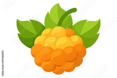 Line Color Drawing of Cloud berry Vector
