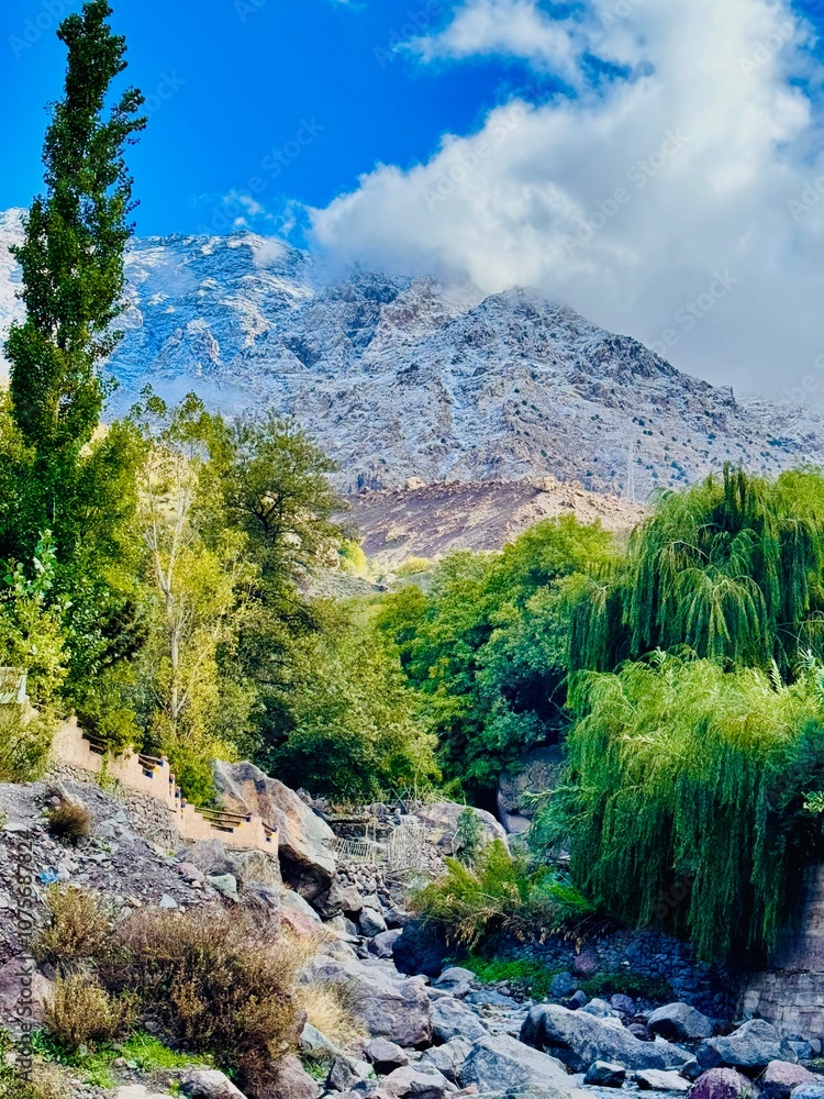 Obraz premium river in the mountains