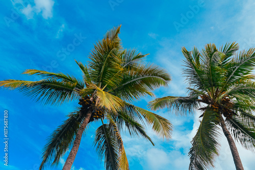 Wallpaper Mural Summer Torontodigital.ca