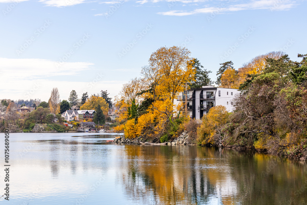 Scenic Autumn View of Residential Area in Victoria, Canada Scenic Autumn View of Residential Area in Victoria, Canada