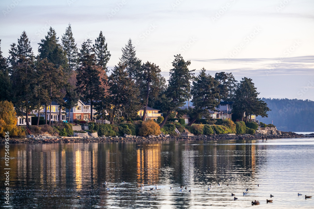Naklejka premium Peaceful Waterfront Homes on Vancouver Island at Sunset