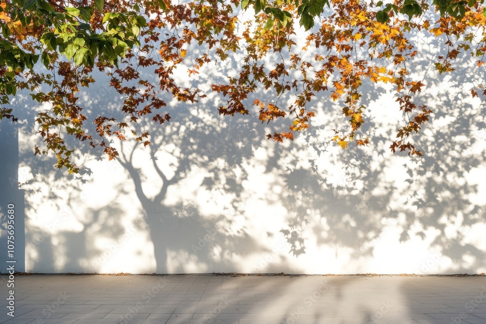 This is a tranquil scene that beautifully features autumn leaves gently casting their shadows on a pristine white wall, exemplifying the essence of simplicity and calmness within architectural design This is a tranquil scene that beautifully features autumn leaves gently casting their shadows on a pristine white wall, exemplifying the essence of simplicity and calmness within architectural design