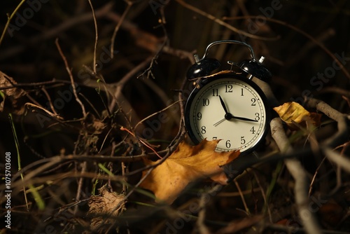 Wallpaper Mural Alarm clock on dry branches outdoors, closeup. Space for text Torontodigital.ca