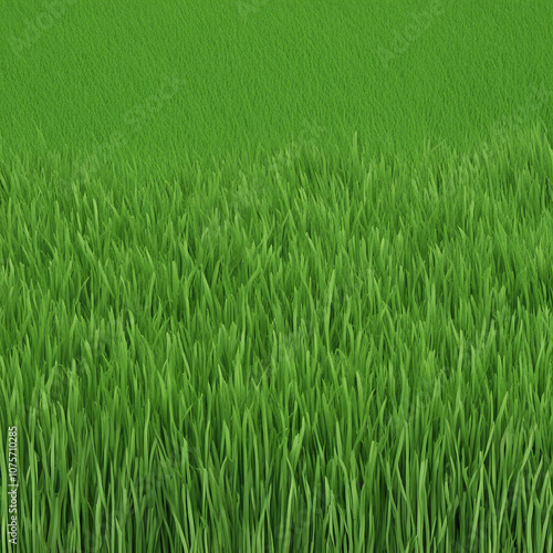 fresh green grass texture background illustration