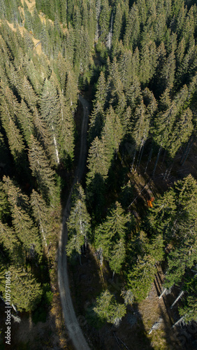 Nature of Kopaonik National Park in Serbia in warm autumn season. Aerial view of green pine forest and narrow rural road. photo