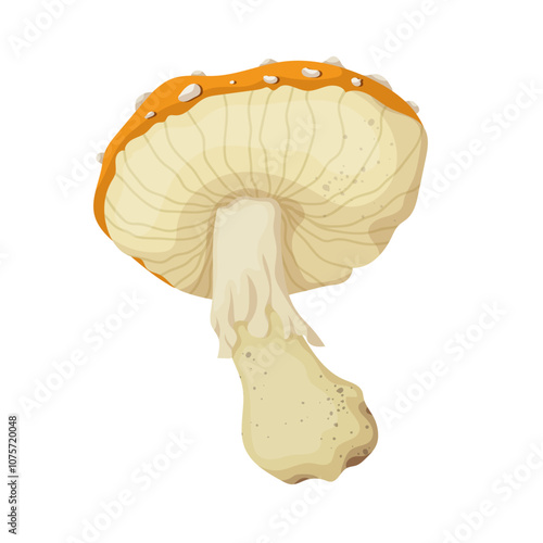 Colorful yellow fly agaric, forest mushroom toadstool. Vector graphics.