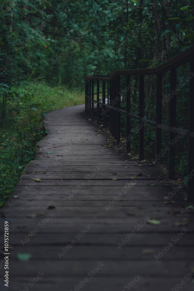 Wooden boardwalk through lush, shaded forest Wooden boardwalk through lush, shaded forest