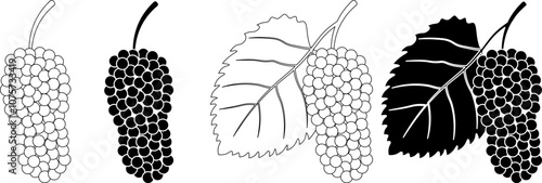 outline silhouette Morus alba icon set