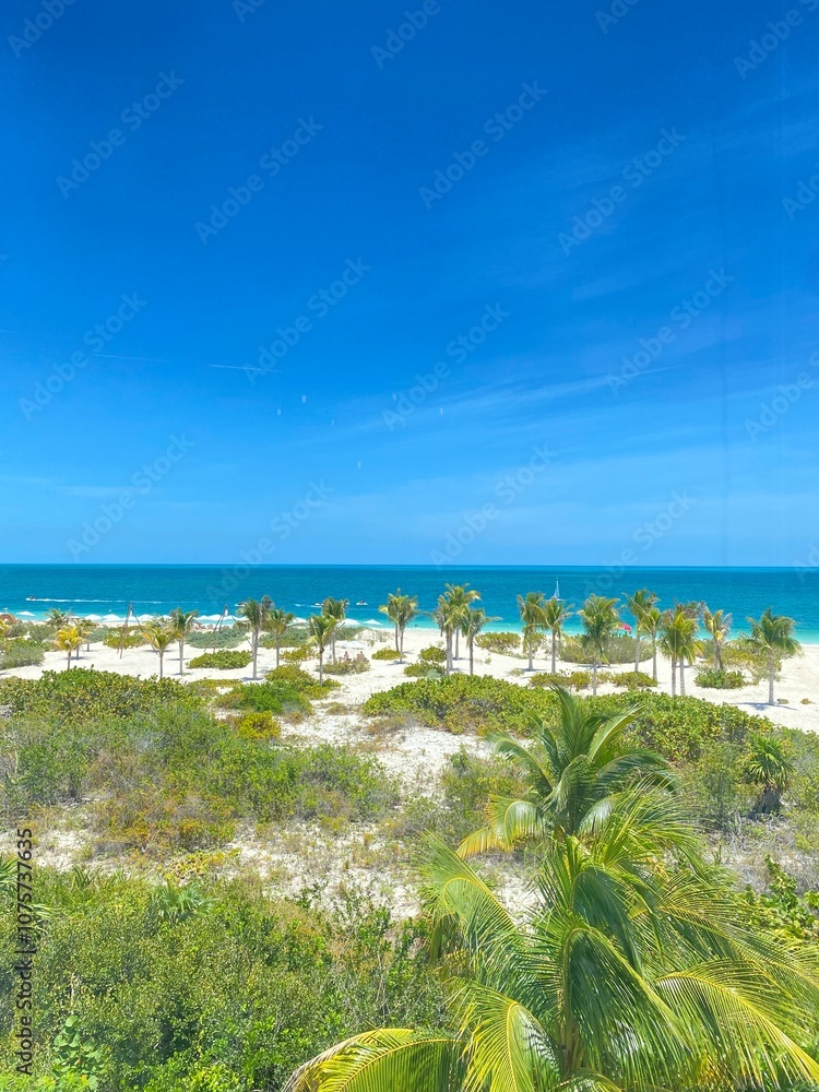 Fototapeta premium Sunny day at the beach
