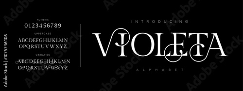 Violeta typography beauty fashion elegant minimalist serif italic fonts decorative wedding vintage retro logos. Minimal luxury font alphabet logo. Vector illustration