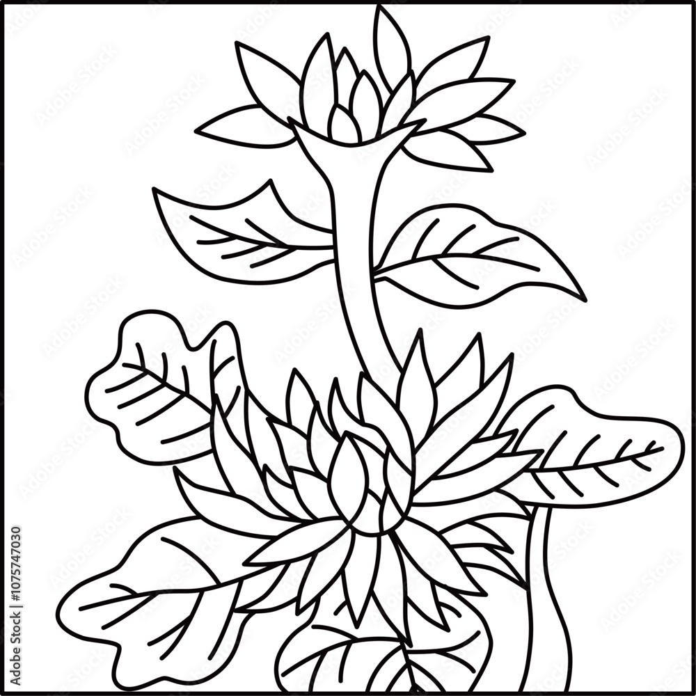 線画正方形花札　長月　菊　9月　菊のカス